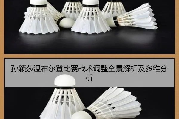 孙颖莎温布尔登比赛战术调整全景解析及多维分析